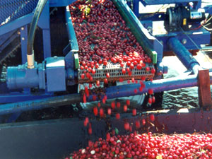 Electric motor repair for agricultural conveyors & pumps, MA, RI, Cape Cod